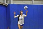 Volleyball vs MHC  Wheaton Women's Volleyball vs Mount Holyoke College. - Photo by Keith Nordstrom : Wheaton, Volleyball